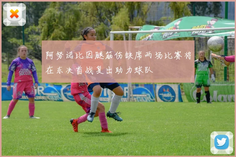 阿努诺比因腿筋伤缺席两场比赛将在东决首战复出助力球队